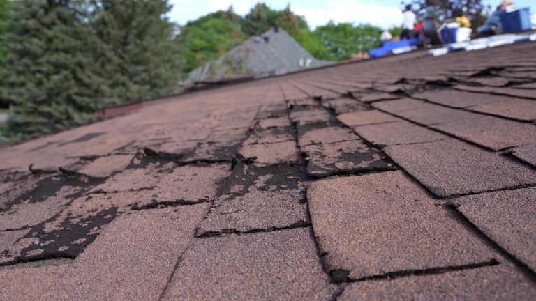 Roof Coating Services in Farmland, IN