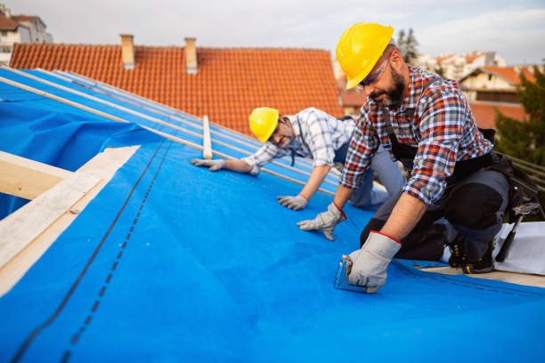 Best Solar Panel Roofing Installation  in Farmland, IN