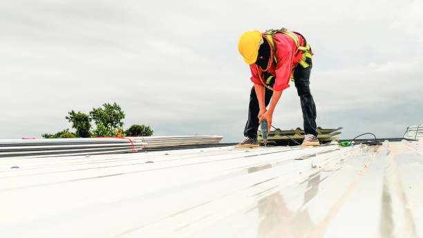 Best Roof Ventilation Installation  in Farmland, IN
